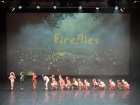 10 Fireflies
