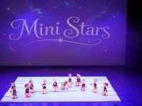 14 Mini Stars